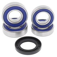 Rear Wheel Bearing Kit