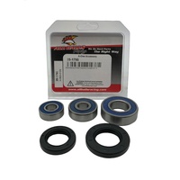 Rear Wheel Bearing Kit