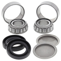 Swing Arm Bearing Kit