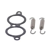 Exhaust Gasket Kit 823117