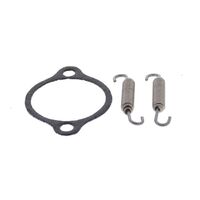 Exhaust Gasket Kit 823121