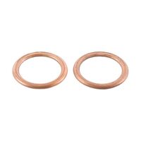 Exhaust Gasket Kit 823132