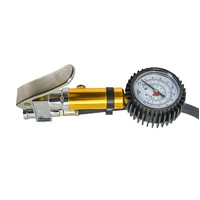 Tyre Inflator Dual Angle Head 