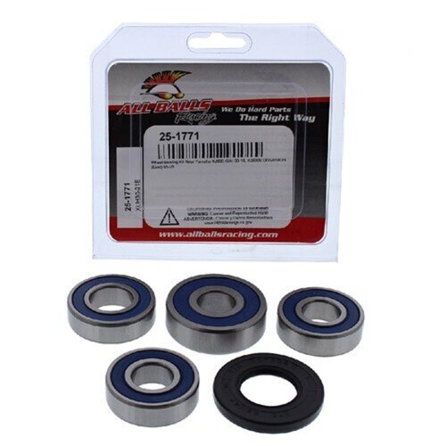 Rear Wheel Bearing Kit