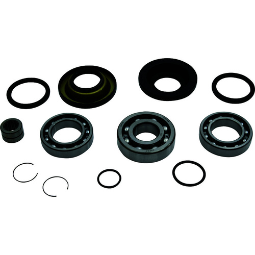 Differential Bearing and Seal Kit Rear - Honda Pioneer 500  **