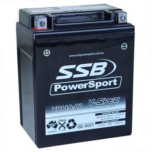 SSB 12V V-Spec Dry Cell AGM 310 CCA Battery 4.7 Kg for BMW F900 R 2020