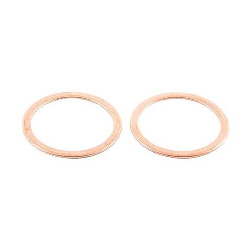 Exhaust Gasket Kit 823046