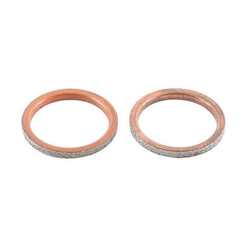 Exhaust Gasket Kit 823124