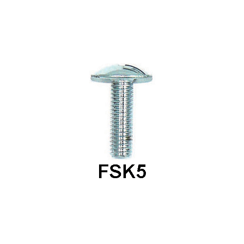 Kawasaki 6 X 20 Chrome Fairing Screw (10 Card)