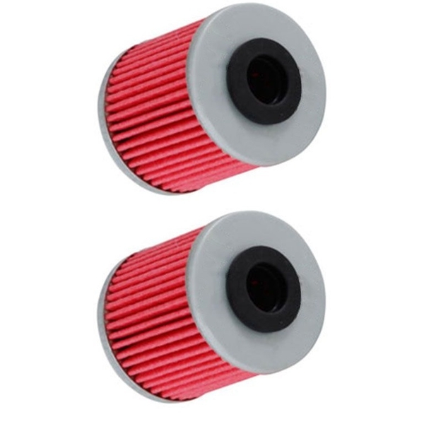 Two OIL FILTERS for Kawasaki KX250F | KXF250 2004 2005 2006 2007 2008 2009 to 2019