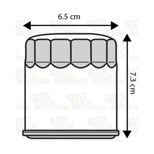 MOTORCYCLE OIL FILTER for CF MOTO 650 All Models