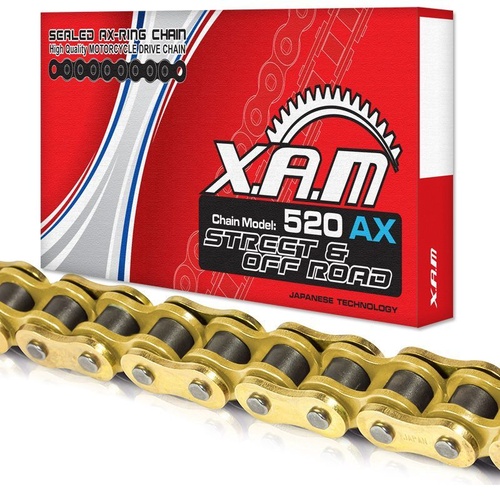 Gold X-RING CHAIN 110 Links  for Suzuki  DR350SE 1997-1999