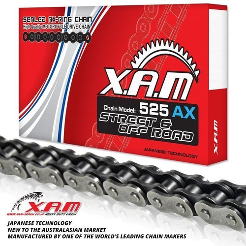 X-RING CHAIN 106 Links  for Triumph TT 600 2000-2003